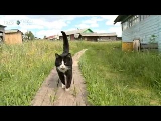 Кыр йылын олысьяс. Фильм экспедиция. 3 часть. 11 ноября 2015
