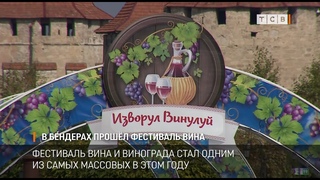 В Бендерах прошёл фестиваль вина