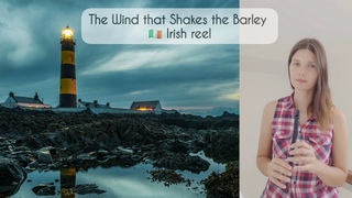The Wind that Shakes the Barley (Irish reel #whistle)