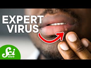 Why Herpes is Different From Other Viruses