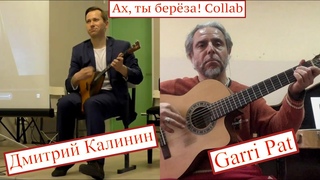 Ах,ты береза - Дмитрии Калинин & Garri Pat