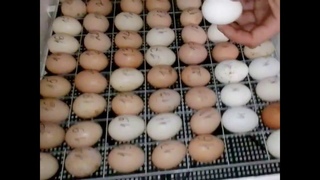 youtube_video_64258533-2022-09-27-14-03-13