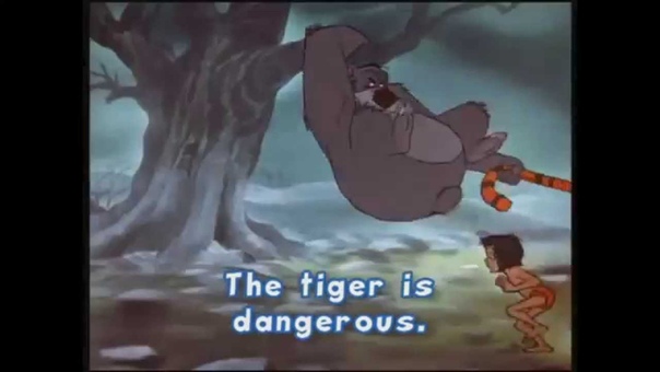 40. Wild Animal ( Continue) Disney s Magic English ( English for