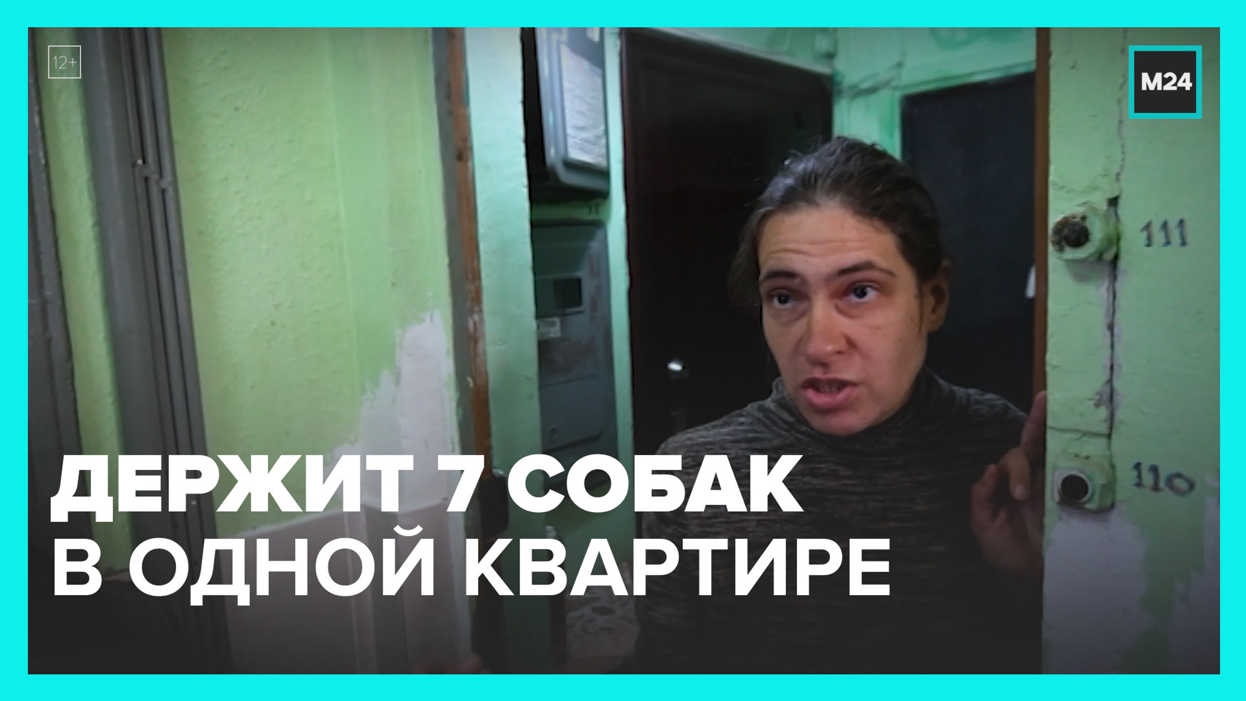 соседка не выдержала. не выдержала женщины с прической в автобусе. бабули в туалете поликлиники. новый соседка карикатура. соседка не выдержала.