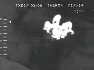 Засекреченное ФСБ видео! Чернобыль  Мутанты нападают на человека и разрывают его на куски!