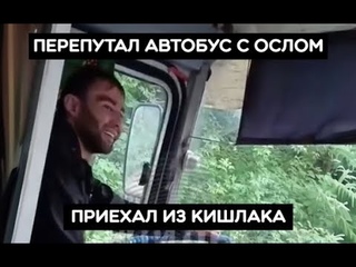 Сначала осел, потом автобус: мигрант из кишлака устроил беспредел в РФ, но русские все видят.