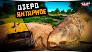 Ловля Карпа на Янтарном озере  Форумный турнир  Русская Рыбалка 4