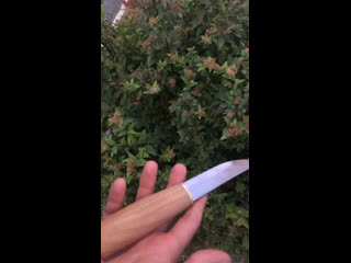 Video by Dzey Li