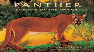 📚 Panther Shadow of the Swamp Read Aloud Books For Children Bedtime Stories