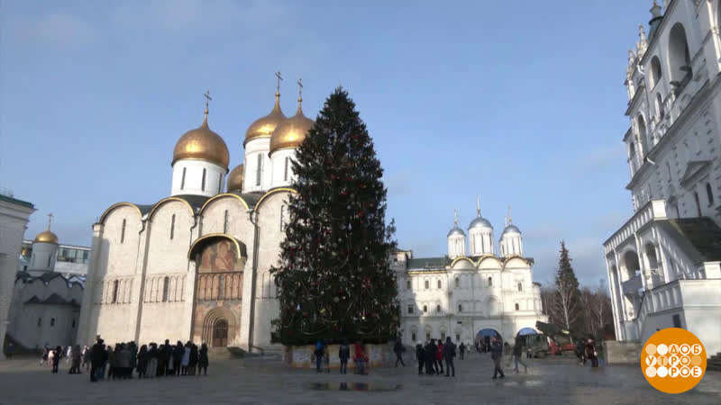 Рождественские елки. Доброе