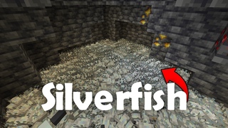 What The Fck Is Silverfish Mining
