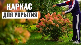 Новинка 2022 Металлические каркасы для защиты растений зимой ХИТСАД