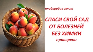 БАРМАТУХА это единственное лекарство, которое лечит любые болезни растений №423/24