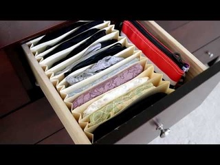 DIY $1 Bra Organizer