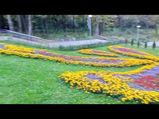 Павлин