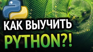 Как выучить Python Самый аху#### способ!