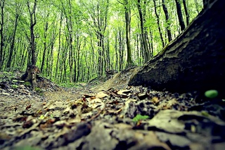 Orest Vatamanyuk/Downhill/МОТИВ МОНТАЖ