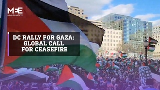 Thousands rally in Washington DC demanding Gaza ceasefire and end to US aid to Israel