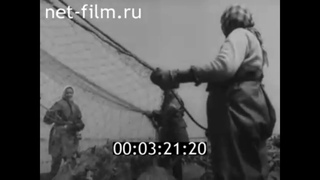 1967г  село Седлистое   Икрянинский район  Астраханская обл