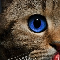 Зураб Церетели | Санкт-Петербург