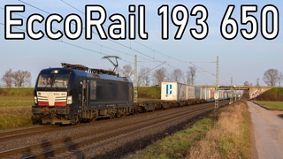 10 Sekunden Makro! EccoRail 193 650 met Ekol-Shuttle door Bornheim! 4K