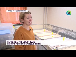ОСТОРОЖНО! МУКА И ПЕЧЕНЬЕ ИЗ НАСЕКОМЫХ УЖЕ В РОССИИ!