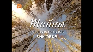 Тайны Кологривского леса, зимовка часть 2