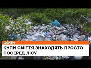 Закарпаття захлинаться у смітті - все через переселенців Чому на це закривають очі