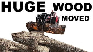 IN THE WOODYARD... HUGE WOOD MOVEMENT!