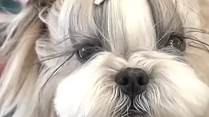 К Р А С О Т К А Pretty