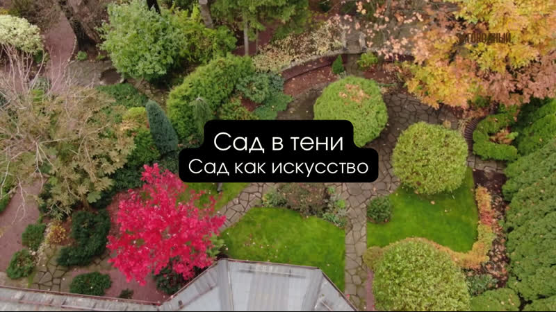 Сад в тени I Сад как