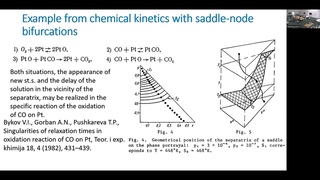 Alexander Gorban, University of Leicester. Slow transients and bifurcation of attractors.