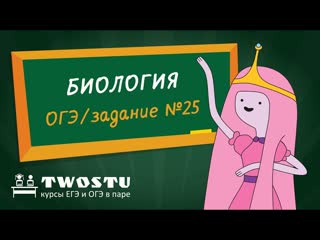 Биология ОГЭ - Вариант 1 - Задание 25
