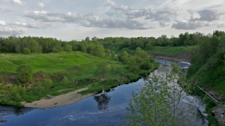 Поток жизни. Эстетика природы