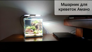 Мшарник 8л с креветками Амано
