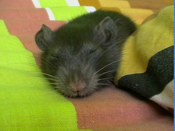 №15, Фёдор Зарубин, 27 лет, Санкт-Петербург №15, Фёдор Зарубин, 27 лет, Санкт-Петербург