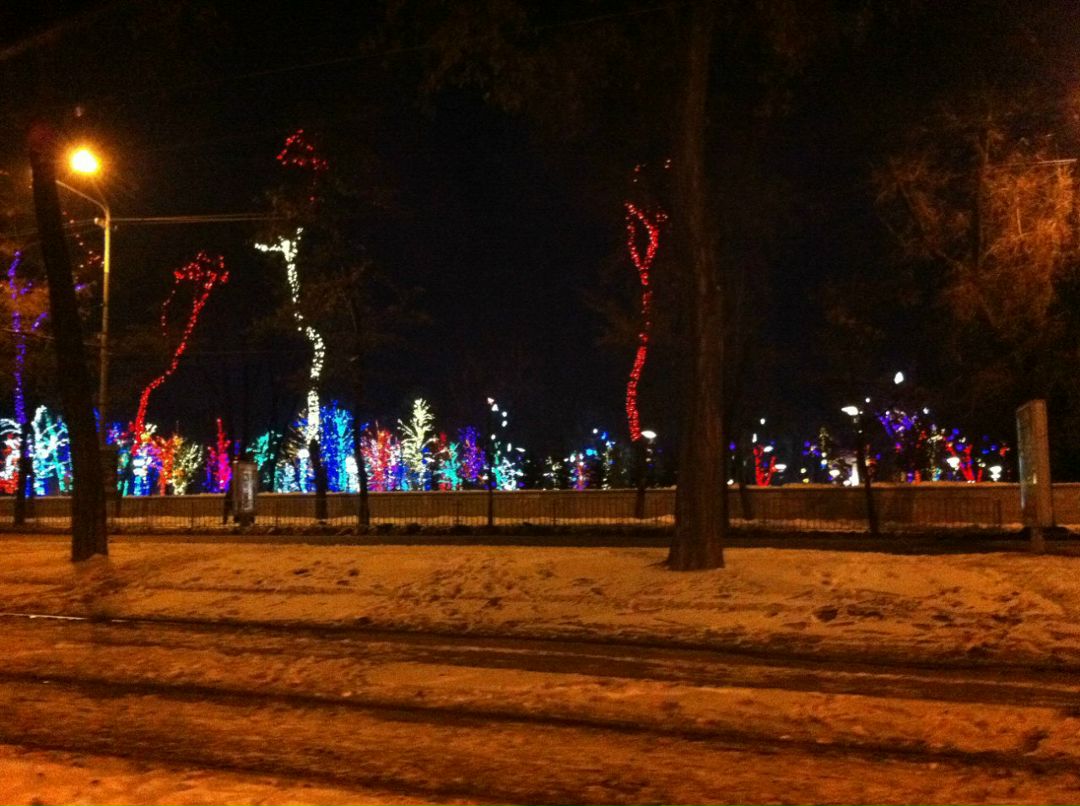 Максим Нечипорук | Одесса