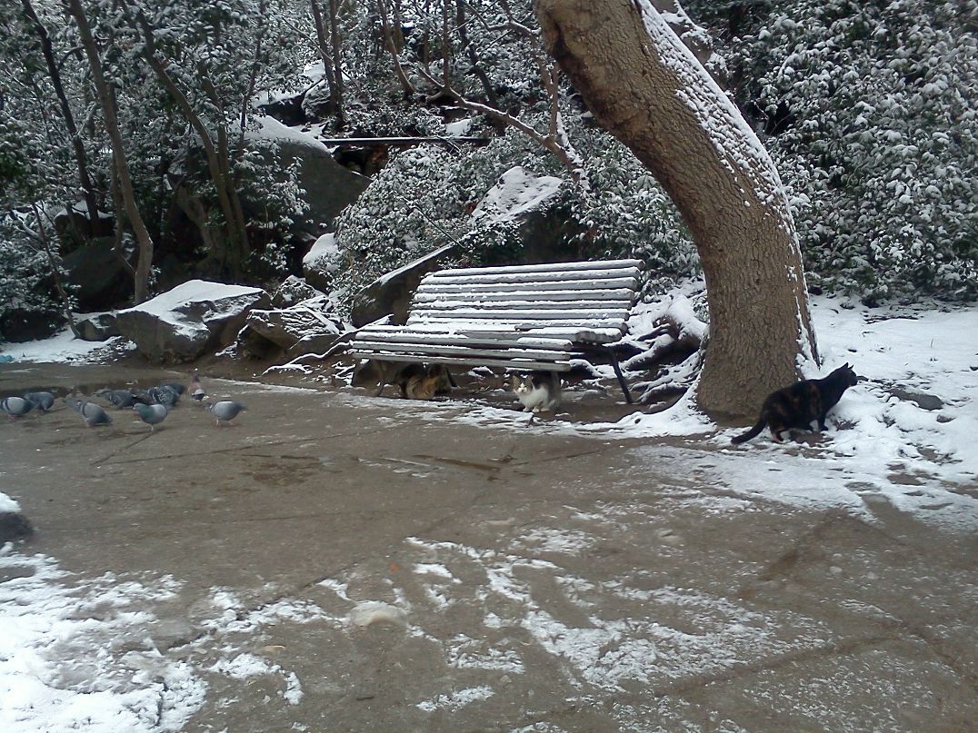 Юрий Товыриков black_rain | Дзержинск