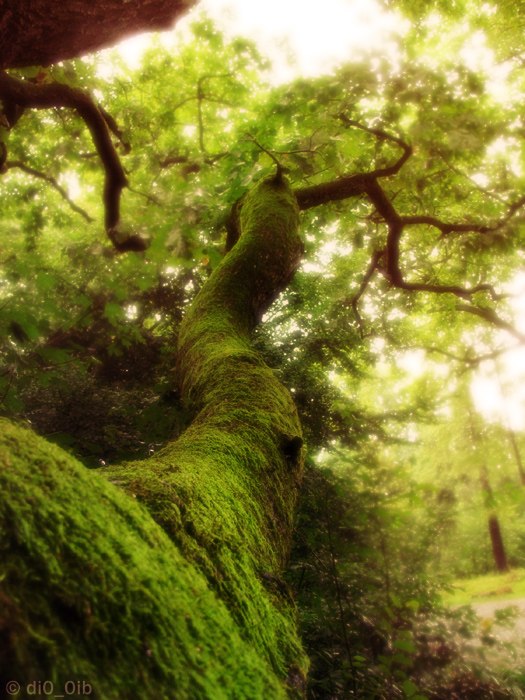 Андрей Трушин | Астрахань