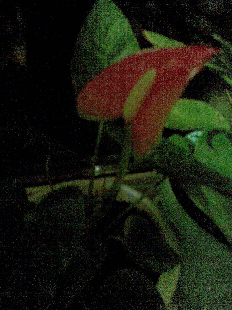 Карина Карпова | Москва