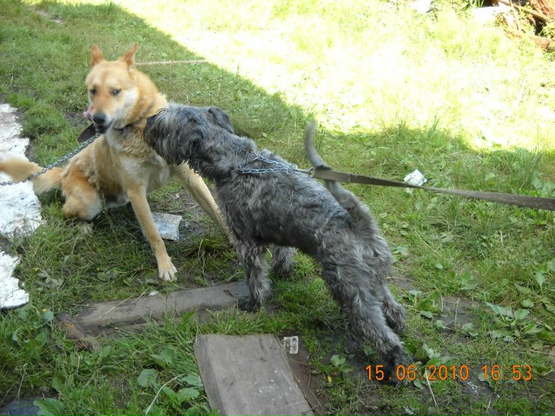 Татьяна Казанцева | Санкт-Петербург