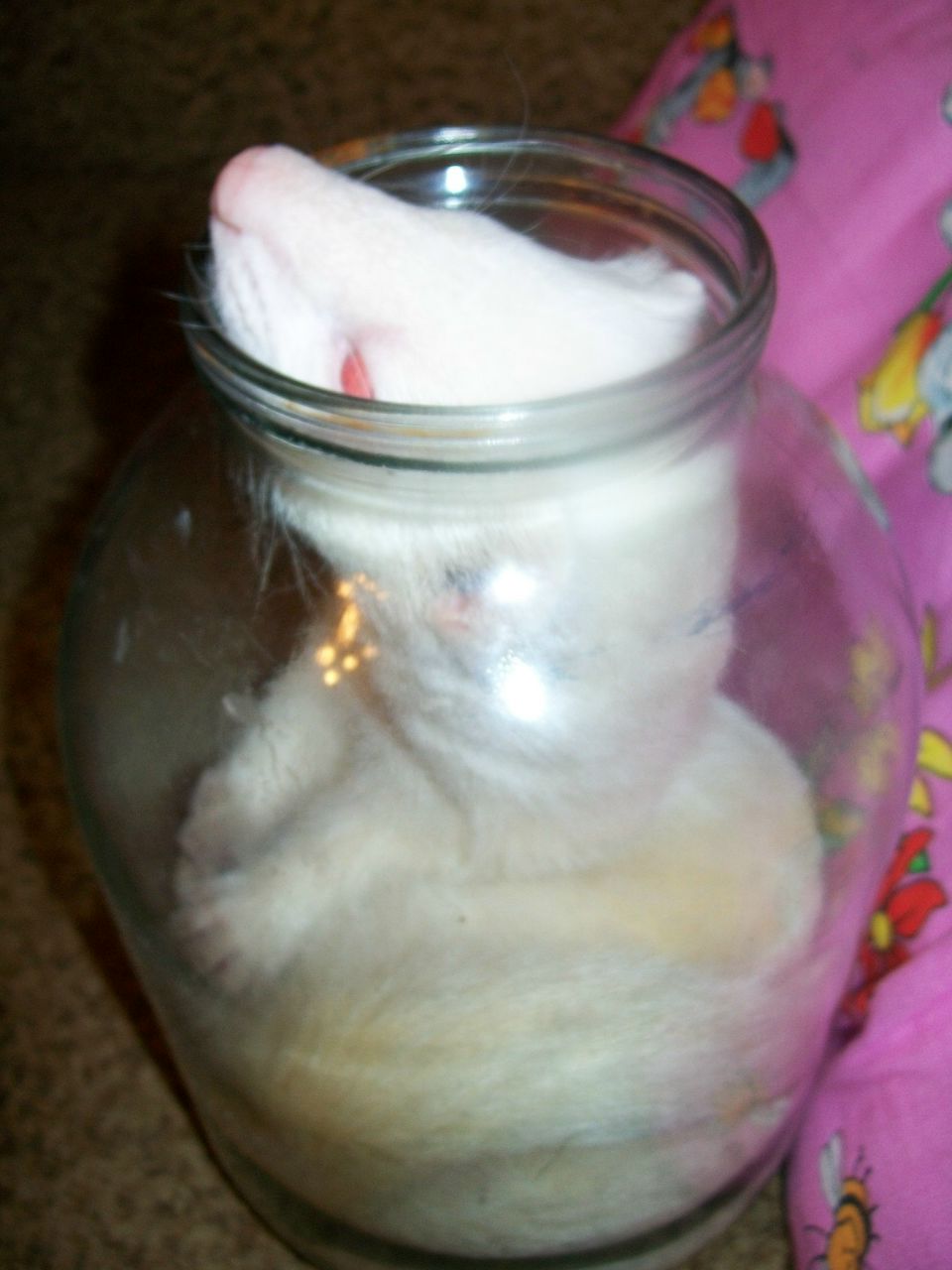 Suzi Alkaline | Уфа