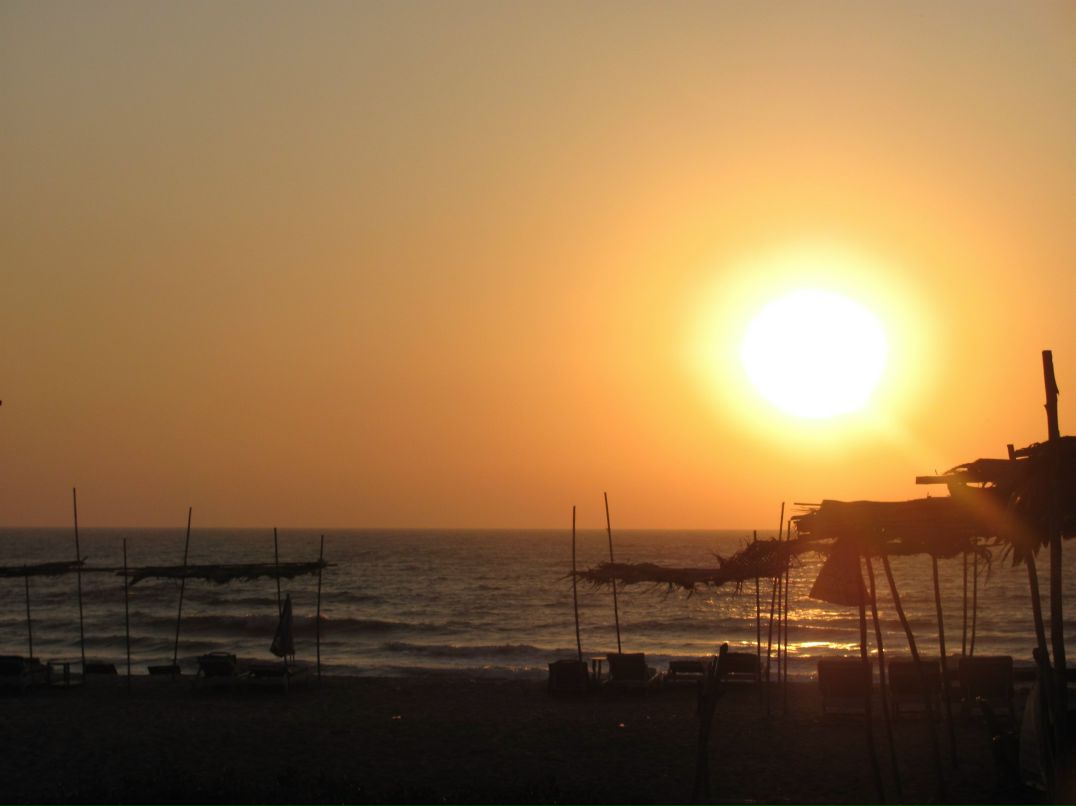 Елена Горбунова | Москва