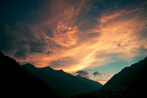 №183, Jane Gallaher №183, Jane Gallaher