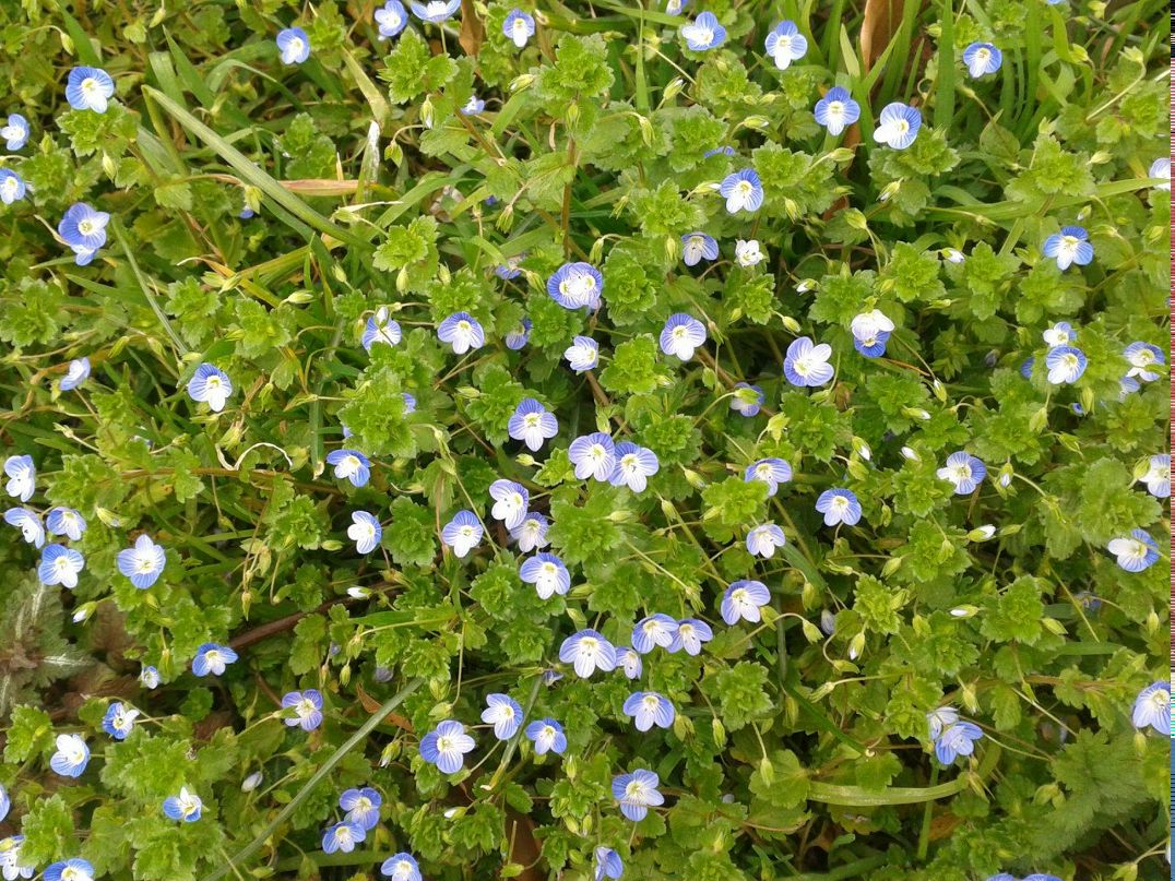 Алина Буйшич *Арленок* | Bar