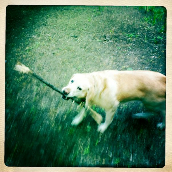 №62, Gosha Mn, 33 года, Тбилиси, Грузия №62, Gosha Mn, 33 года, Тбилиси, Грузия