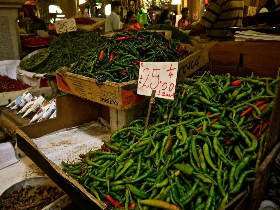 Евгения Фирсова | Москва