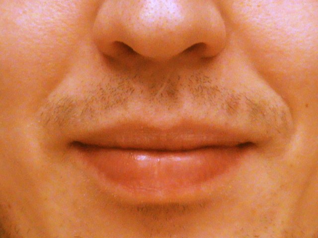 Владимир Терехов ( ВВ ) | Lhasa