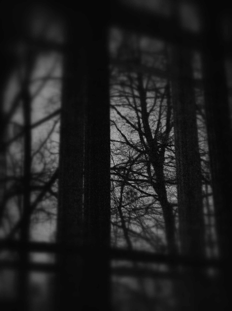 Александр Терентьев | Москва