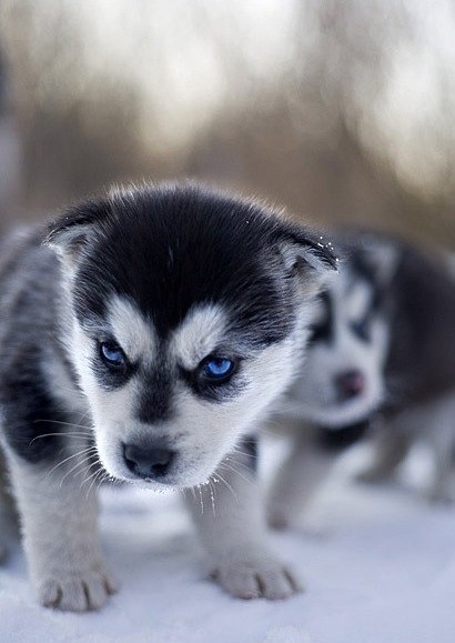 Кирилл Тасаковский | Челябинск